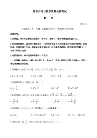 山东省临沂市2024-2025学年高三上学期11月教学质量检测考试数学试题含答案