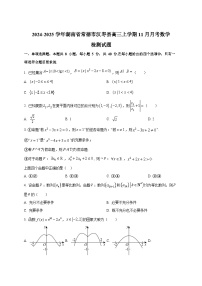 2024-2025学年湖南省常德市汉寿县高三上学期11月月考数学检测试题