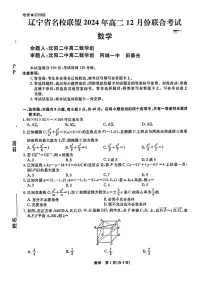 辽宁省名校联盟2024-2025学年高二上学期12月联合考试数学试卷