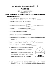 2024-2025学年上海市金山区高三上学期高考一模数学试卷含答案