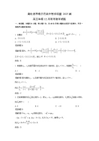 2025届湖北省市级示范高中智学联盟高三年级(上)12月联考数学试卷(解析版)