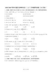 2024-2025学年内蒙古赤峰市高三（上）月考数学试卷（11月份）（含答案）