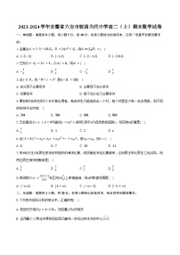 2023-2024学年安徽省六安市皖西当代中学高二（上）期末数学试卷（含答案）