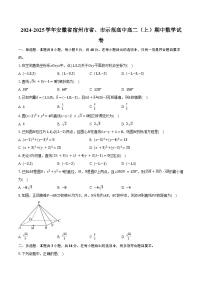 2024-2025学年安徽省宿州市省、市示范高中高二（上）期中数学试卷（含答案）