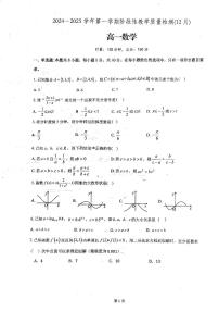 广东省广州市玉岩中学2024-2025学年高一上学期阶段性教学质量检测（12月）数学试卷