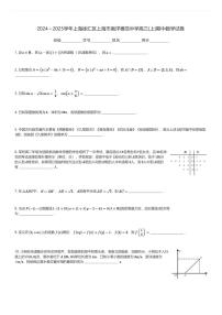 2024～2025学年上海徐汇区上海市南洋模范中学高三(上)期中数学试卷(含解析)