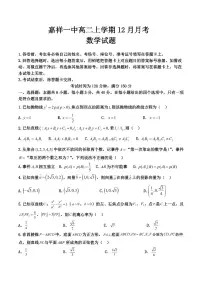 山东省济宁市嘉祥县第一中学2024-2025学年高二上学期第二次月考数学试题