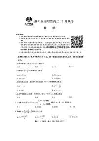 2024-2025学年河南省洛阳市强基联盟高二12月月考数学试卷