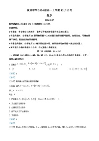 四川省内江市威远中学2024-2025学年高一上学期12月月考数学试卷（Word版附解析）