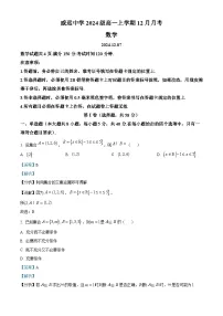 四川省内江市威远中学2024-2025学年高一上学期12月月考数学试卷（Word版附解析）