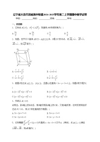辽宁省大连市滨城高中联盟2024-2025学年高二上学期期中数学试卷(含答案)