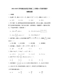 2024-2025学年湖北省武汉市高三上册12月联考数学检测试题（附解析）