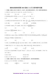 2025届湖南名校教育联盟·高三上12月大联考(月考)数学试卷(含答案)