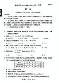 四川省攀枝花市2024-2025学年高三上学期12月第一次统一考试数学试题