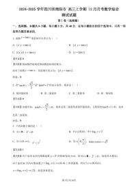2024-2025 学年四川省绵阳市 高三上学期 12 月月考数学综合测试试题（含解析）