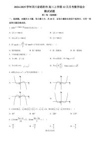 2024-2025 学年四川省绵阳市 高三上学期 12 月月考数学综合测试试题