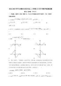 2024-2025学年安徽省合肥市高三上学期12月月考数学检测试题
