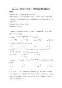 2024-2025学年高三上学期12月联考数学模拟预测试卷（含解析）