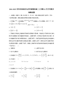 2024-2025学年河南省驻马店市新蔡县高三上学期12月月考数学检测试题