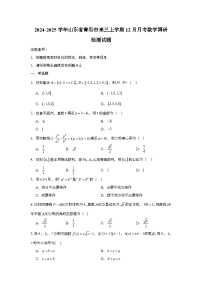 2024-2025学年山东省青岛市高三上学期12月月考数学调研检测试题（含解析）