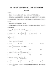 2024-2025学年山东市青岛市高三上学期12月阶段性检测数学试题