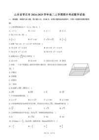 山东省枣庄市2024-2025学年高二上学期期中考试数学试卷（含答案）
