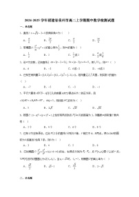 2024-2025学年福建省泉州市高二上学期期中数学检测试题（含解析）
