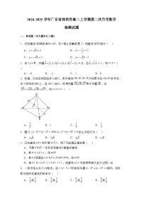 2024-2025学年广东省深圳市高二上学期第二次月考数学检测试题（含解析）