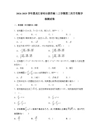 2024-2025学年黑龙江省哈尔滨市高二上学期第三次月考数学检测试卷（含答案）