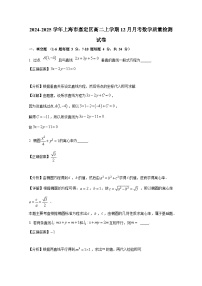 2024-2025学年上海市嘉定区高二上学期12月月考数学质量检测试卷（含解析）