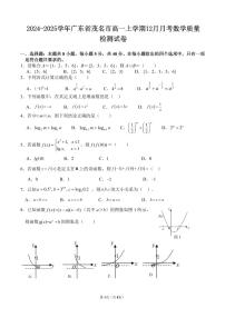 2024-2025学年广东省茂名市高一上学期12月月考数学质量检测试卷（含答案）