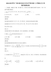 2024-2025学年广西壮族自治区百色市平果市高三上学期12月月考数学检测试卷（含解析）