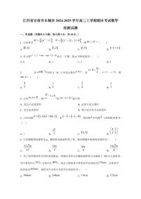 江西省宜春市丰城市2024-2025学年高三上学期期末考试数学检测试题（附解析）