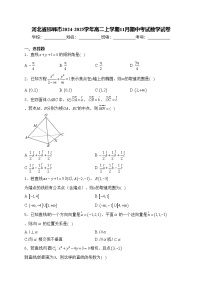 河北省邯郸市2024-2025学年高二上学期11月期中考试数学试卷(含答案)
