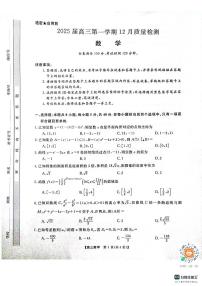 2025届河南名校联盟高三上学期12月联考数学试卷（含答案）