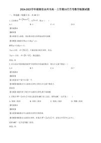 2024-2025学年湖南省永州市高一上学期10月月考数学检测试题（附解析）