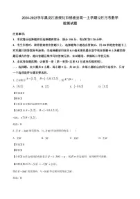 2024-2025学年黑龙江省绥化市绥棱县高一上学期12月月考数学检测试题（附解析）