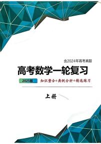 2024高考数学一轮复习综合讲义含知识整合+典例分析+精选练习