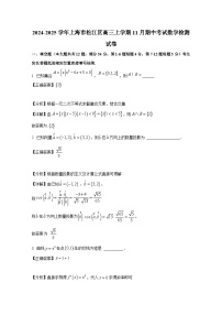 2024-2025学年上海市松江区高三上册11月期中考试数学检测试卷（附解析）