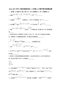 2024-2025学年上海市杨浦区高三上册11月期中数学检测试题