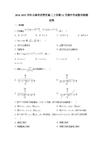 2024-2025学年天津市西青区高三上册11月期中考试数学检测试卷（含解析）