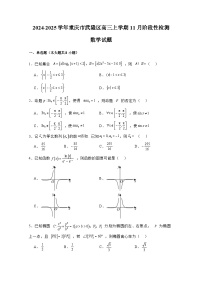 2024-2025学年重庆市武隆区高三上册11月阶段性检测数学试题（含解析）