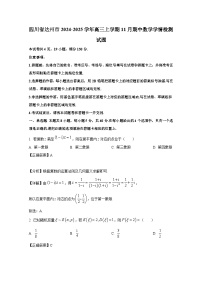 四川省达州市2024-2025学年高三上册11月期中数学学情检测试题（附解析）
