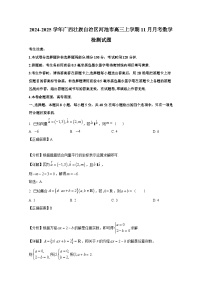 2024-2025学年广西壮族自治区河池市高三上册11月月考数学检测试题（附解析）