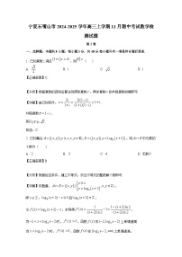 宁夏石嘴山市2024-2025学年高三上册11月期中考试数学检测试题（附解析）