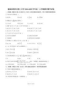 湖南省邵阳市第二中学2024-2025学年高一上学期期中数学试卷（含答案）