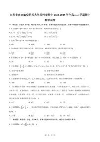江苏省南京航空航天大学苏州市附中2024-2025学年高二上学期期中数学试卷（含答案）