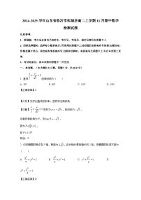 2024-2025学年山东省临沂市郯城县高二上册11月期中数学检测试题（附解析）
