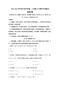 2024-2025学年四川省泸县高一上册11月期中考试数学检测试题