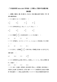 广州省深圳市2024-2025学年高二上册11月期中考试数学检测试题（含解析）